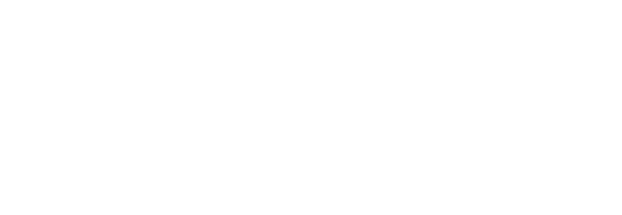 Bare Necessities logo