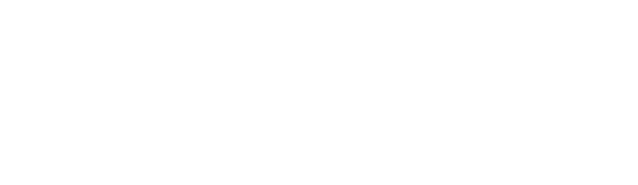 Wrangler logo